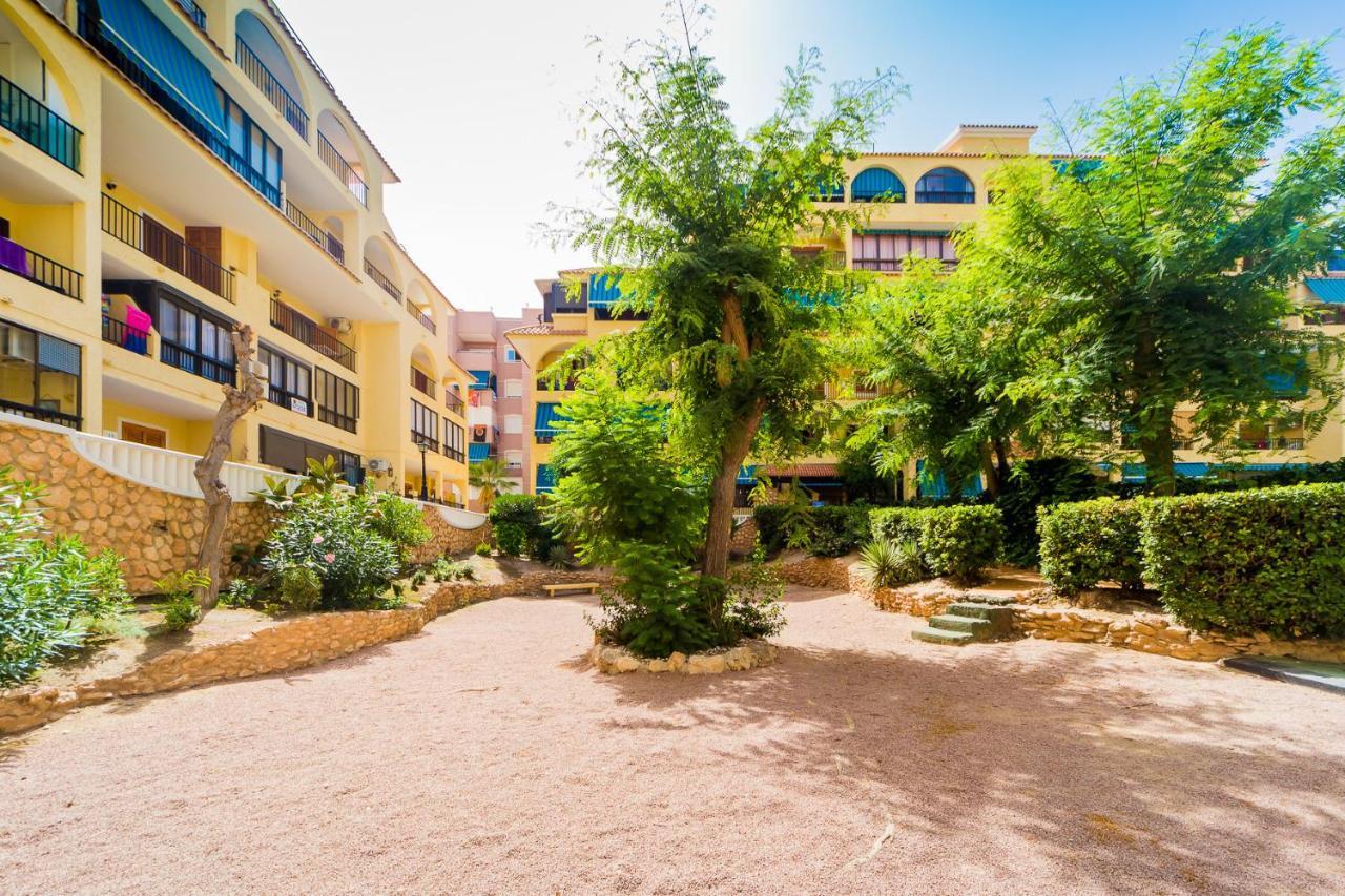 Apartamento Alegria Id36 La Mata  Exterior foto